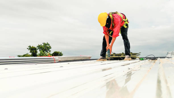 Best Skylight Installation and Repair  in Mesquite, TX