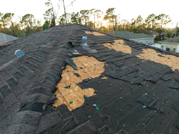 Best Commercial Roofing Services  in Mesquite, TX